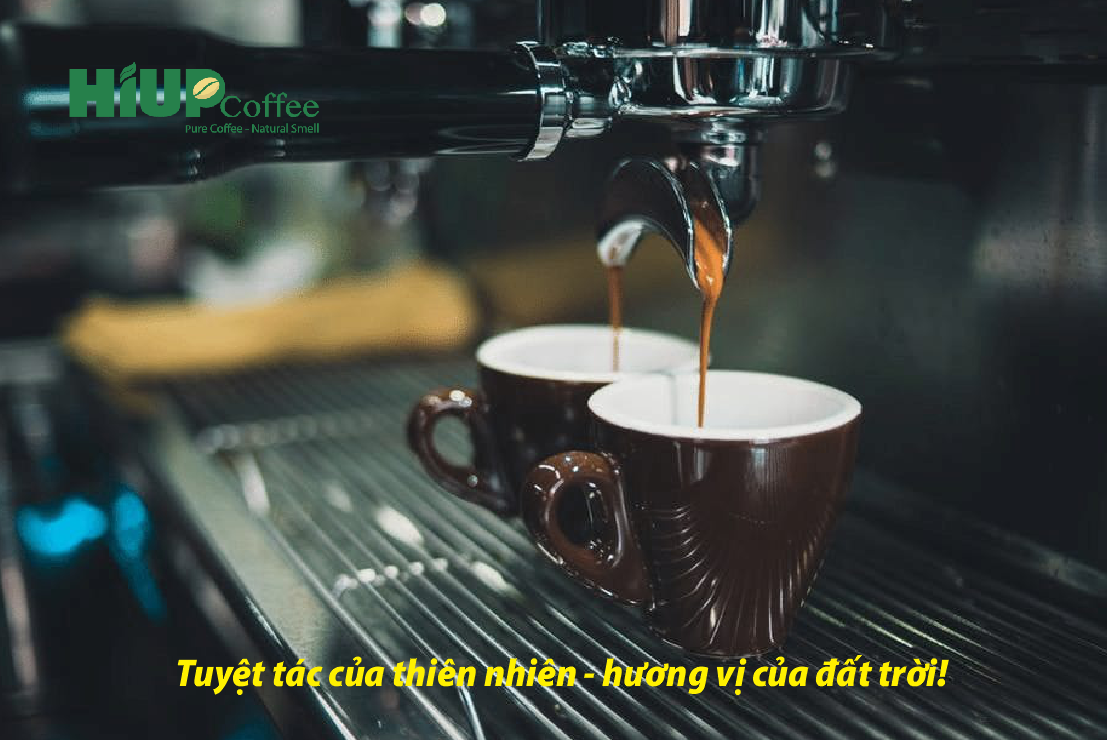 Hiup Coffee: Ấn tượng hương vị tuyệt hảo của núi rừng Tây Nguyên. 