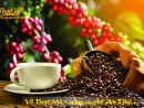 Ẩm Thực Cà Phê: Cà Phê An Thái - đỉnh cao hương vị cà phê Ban Mê