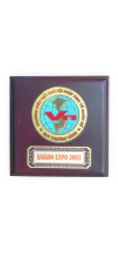 越南国际经济一体化品牌金奖，2003 年西贡世博会