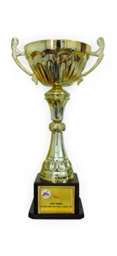 Cúp vàng cà phê hòa tan chất lượng cao, Lễ hội cà phê Buôn Ma Thuột 2011