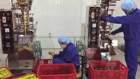 安泰咖啡：走向封闭流程的咖啡生产